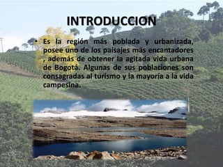 INTRODUCCION
• Es la región más poblada y urbanizada,
posee uno de los paisajes más encantadores
, además de obtener la agitada vida urbana
de Bogotá. Algunas de sus poblaciones son
consagradas al turismo y la mayoría a la vida
campesina.
 