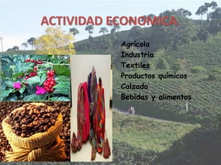 ACTIVIDAD ECONOMICA.
Agrícola
Industria
Textiles
Productos químicos
Calzado
Bebidas y alimentos
 