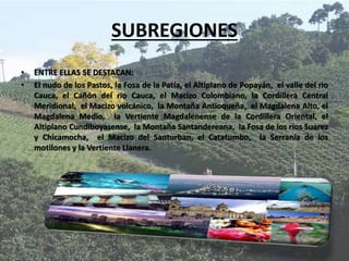 SUBREGIONES
• ENTRE ELLAS SE DESTACAN:
• El nudo de los Pastos, la Fosa de la Patía, el Altiplano de Popayán, el valle del rio
Cauca, el Cañón del rio Cauca, el Macizo Colombiano, la Cordillera Central
Meridional, el Macizo volcánico, la Montaña Antioqueña, el Magdalena Alto, el
Magdalena Medio, la Vertiente Magdalenense de la Cordillera Oriental, el
Altiplano Cundiboyasense, la Montaña Santandereana, la Fosa de los ríos Suarez
y Chicamocha, el Macizo del Santurban, el Catatumbo, la Serranía de los
motilones y la Vertiente Llanera.
 