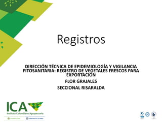 Registros
DIRECCIÓN TÉCNICA DE EPIDEMIOLOGÍA Y VIGILANCIA
FITOSANITARIA: REGISTRO DE VEGETALES FRESCOS PARA
EXPORTACIÓN
FLOR GRAJALES
SECCIONAL RISARALDA
 