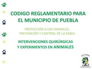 CODIGO REGLAMENTARIO PARA
EL MUNICIPIO DE PUEBLA
PROTECCIÓN A LOS ANIMALES,
PREVENCIÓN Y CONTROL DE LA RABIA
INTERVENCIONES QUIRÚRGICAS
Y EXPERIMENTOS EN ANIMALES
 