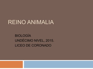 REINO ANIMALIA
BIOLOGÍA
UNDÉCIMO NIVEL, 2015.
LICEO DE CORONADO
 