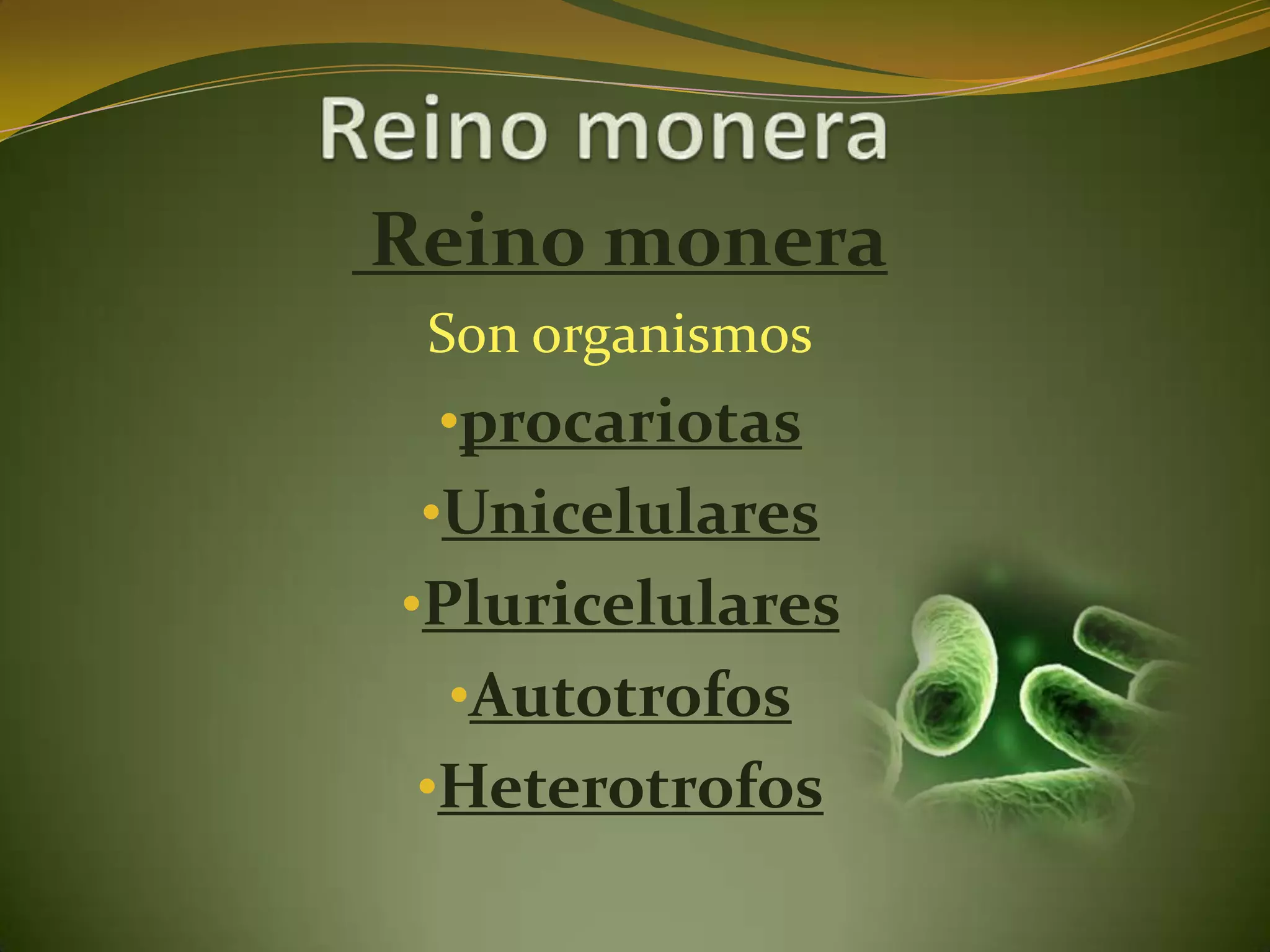 Reino monera | PPTX