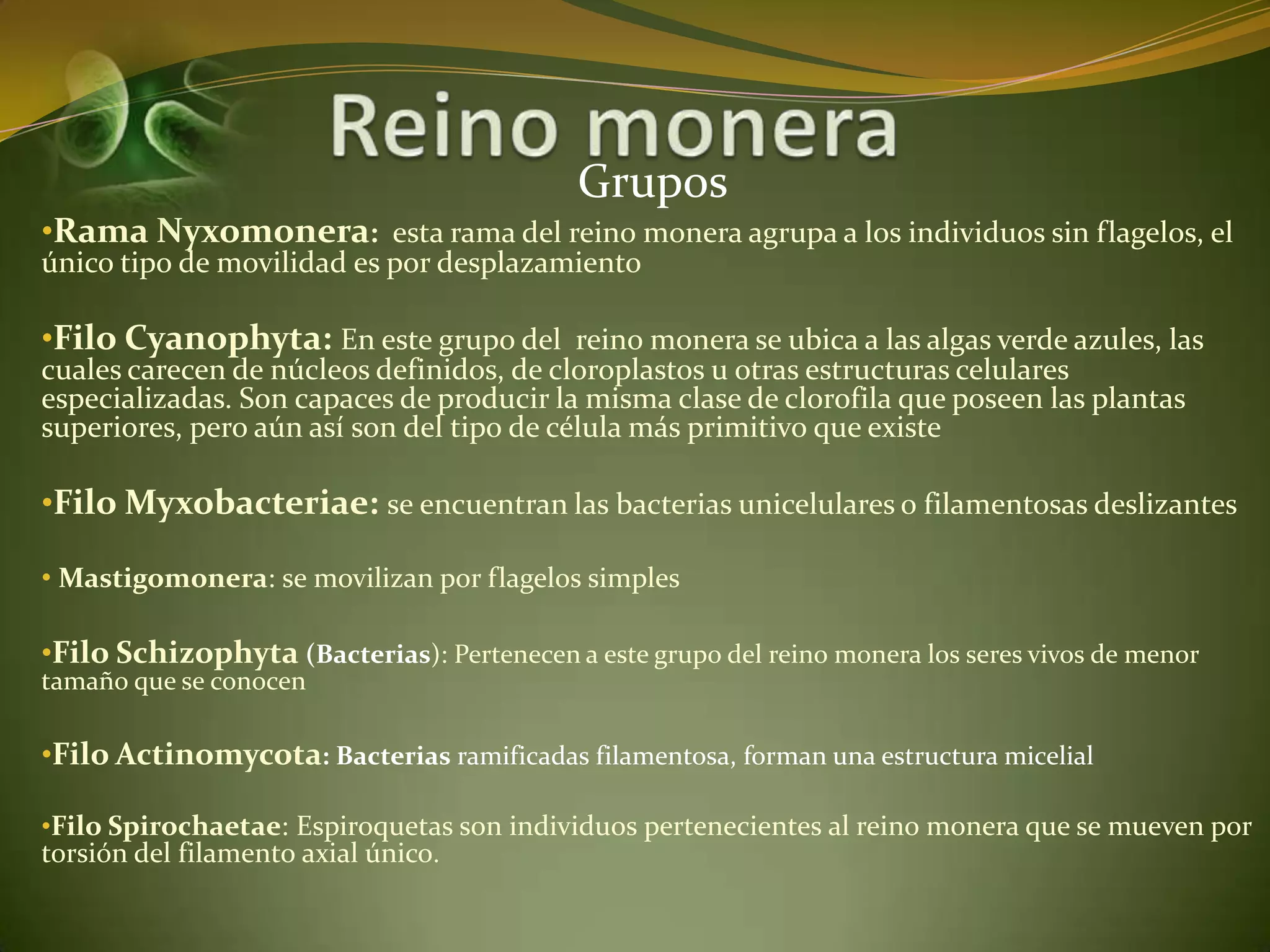 Reino monera | PPTX