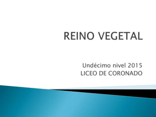 Undécimo nivel 2015
LICEO DE CORONADO
 