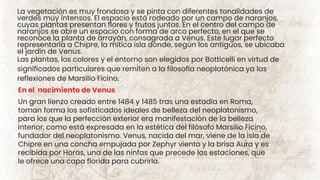 La vegetación es muy frondosa y se pinta con diferentes tonalidades de
verdes muy intensos. El espacio está rodeado por un campo de naranjos,
cuyas plantas presentan flores y frutos juntos. En el centro del campo de
naranjos se abre un espacio con forma de arco perfecto, en el que se
reconoce la planta de arrayán, consagrada a Venus. Este lugar perfecto
representaría a Chipre, la mítica isla donde, según los antiguos, se ubicaba
el jardín de Venus.
Las plantas, los colores y el entorno son elegidos por Botticelli en virtud de
significados particulares que remiten a la filosofía neoplatónica ya las
reflexiones de Marsilio Ficino.
Un gran lienzo creado entre 1484 y 1485 tras una estadía en Roma,
toman forma los sofisticados ideales de belleza del neoplatonismo,
para los que la perfección exterior era manifestación de la belleza
interior, como está expresada en la estética del filósofo Marsilio Ficino,
fundador del neoplatonismo. Venus, nacida del mar, viene de la isla de
Chipre en una concha empujada por Zephyr viento y la brisa Aura y es
recibida por Horas, una de las ninfas que precede las estaciones, que
le ofrece una capa florida para cubrirla.
En el nacimiento de Venus
 