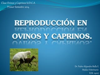 Dr. Pedro Alejandro Bulla E.
Medico Veterinario
R.M. 24027
Clase Ovinos y Caprinos U.D.C.A
Primer Semestre 2014
 