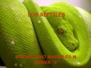 LOS REPTILES MAXIMILIANO MARDONES M. KINDER “A” 