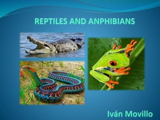 Presentacion reptiles and amphibians iván movillo