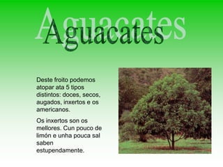 Deste froito podemos
atopar ata 5 tipos
distintos: doces, secos,
augados, inxertos e os
americanos.
Os inxertos son os
mellores. Cun pouco de
limón e unha pouca sal
saben
estupendamente.
 