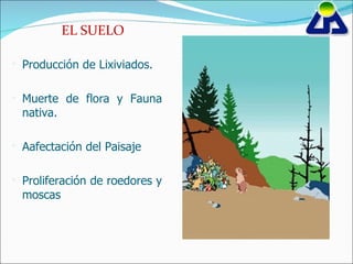 EL SUELO Producción de Lixiviados. Muerte de flora y Fauna nativa. A afectación del Paisaje Proliferación de roedores y moscas 