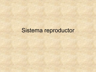 Sistema reproductor
 