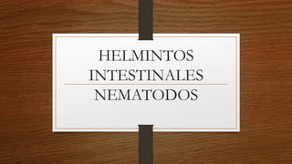 HELMINTOS
INTESTINALES
NEMATODOS
 