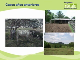 Casos años anteriores
 