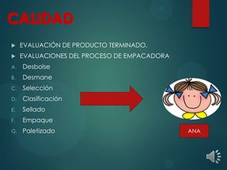  EVALUACIÓN DE PRODUCTO TERMINADO.
 EVALUACIONES DEL PROCESO DE EMPACADORA
A. Desbolse
B. Desmane
C. Selección
D. Clasificación
E. Sellado
F. Empaque
G. Paletizado ANA
 