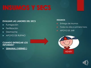 EVALUAR LAS LABORES DEL SECS
 Fumigación
 Fertilización
 Desmache
 APOYO DE RUFINO
CUANDO ENTREGAR LOS
INFORMES?
 SEMANAL (VIERNES )
INSUMOS
 Entrega de insumos
 Todos los días a primera hora.
 APOYO DE JAIR
HENRY
 