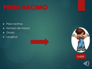  Peso racimos
 Número de manos
 Grado
 Longitud
FABER
 