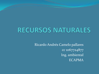 Ricardo Andrés Camelo pallares
cc 1067724877
Ing. ambiental
ECAPMA
 