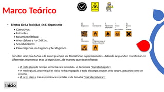 Marco Teórico
Inicio
• Efectos De La Toxicidad En El Organismo
• Corrosivos:
• Irritantes:
• Neumoconióticos:
• Anestésicos y narcóticos:.
• Sensibilizantes:
• Cancerígenos, mutágenos y teratógenos
Por otro lado, los daños a la salud pueden ser transitorios o permanentes. Además se pueden manifestar en
diferentes momentos tras la exposición, de manera que sean efectos:
• A corto plazo de tiempo, de forma casi inmediata, se denomina “toxicidad aguda”,
• A medio plazo, una vez que el tóxico se ha propagado a todo el cuerpo a través de la sangre, actuando como un
veneno.
• A largo plazo y tras exposiciones repetidas, es la llamada “toxicidad crónica”.
 