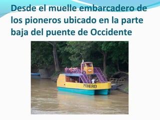 Desde el muelle embarcadero de
los pioneros ubicado en la parte
baja del puente de Occidente

 