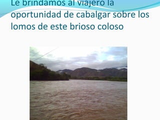 Le brindamos al viajero la
oportunidad de cabalgar sobre los
lomos de este brioso coloso

 