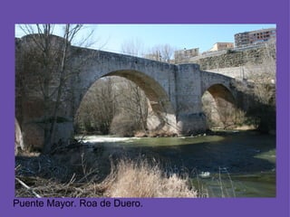 Puente Mayor. Roa de Duero.  