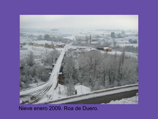 Nieve enero 2009. Roa de Duero. 