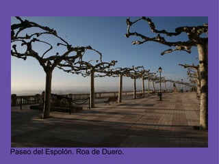 Paseo del Espolón. Roa de Duero.