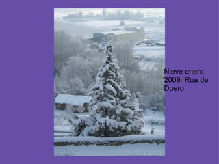 Nieve enero 2009. Roa de Duero.