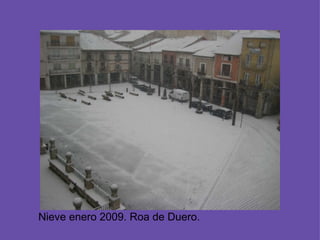 Nieve enero 2009. Roa de Duero.