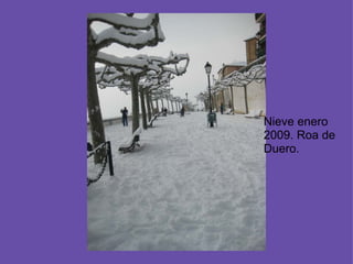 Nieve enero 2009. Roa de Duero.