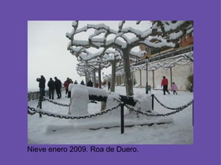Nieve enero 2009. Roa de Duero.
