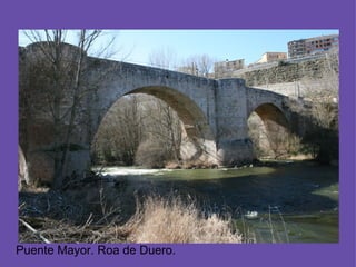 Puente Mayor. Roa de Duero.