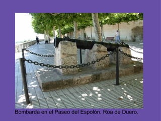 Bombarda en el Paseo del Espolón. Roa de Duero.