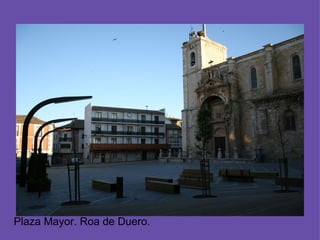 Plaza Mayor. Roa de Duero.