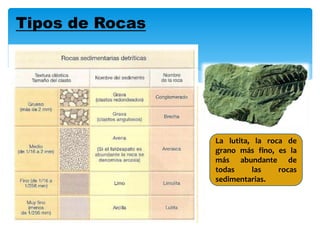 Tipos de Rocas
La lutita, la roca de
grano más fino, es la
más abundante de
todas las rocas
sedimentarias.
 