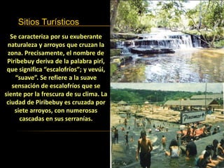 Sitios Turísticos
Se caracteriza por su exuberante
naturaleza y arroyos que cruzan la
zona. Precisamente, el nombre de
Piribebuy deriva de la palabra pirî,
que significa “escalofríos”; y vevúi,
“suave”. Se refiere a la suave
sensación de escalofríos que se
siente por la frescura de su clima. La
ciudad de Piribebuy es cruzada por
siete arroyos, con numerosas
cascadas en sus serranías.
 