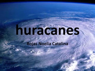 huracanes
Rojas Noelia Catalina

 