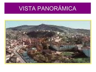 VISTA PANORÁMICA
 