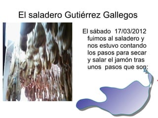 El saladero Gutiérrez Gallegos
                El sábado 17/03/2012
                  fuimos al saladero y
                  nos estuvo contando
                  los pasos para secar
                  y salar el jamón tras
                  unos pasos que son:
 