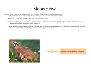 Género y sexo:
Cuando el género gramatical del sustantivo sirve para diferenciar el sexo (género semántico) se manifiesta:
     Con la terminación -o, -e o consonante para el masculino y -a, -esa, -ina, -isa, -itriz para el femenino

      Heterónimo: Cuando se usan palabras diferentes. Ejemplo: caballo/yegua.

      Cuando se cambia el género gramatical del determinante y se mantiene el del sustantivo. Ejemplo: el joven/la joven. Estos sustantivos son
          denominados comunes en cuanto al género gramatical.

      Epiceno: A algunos sustantivos que se refieren a animales pero que mantienen la misma forma para el masculino y el femenino, se les añaden
          términos como "macho" o "hembra" para diferenciar el sexo (género semántico).




                                                                                                           Perdiz tiene género epiceno
 