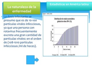  La dosis infectante se
presume que es de 10-100
partículas virales infecciosas,
ya que una persona con
rotavirus frecuentemente
excreta una gran cantidad de
partículas virales: en el orden
de (108-1010 partículas
infecciosas /ml de heces).
La naturaleza de la
enfermedad
Estadísticas en América latina
 