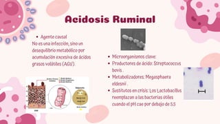 Comprehensive Overview of Rumen and Reticulum Pathologies in Domestic ...