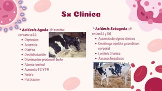 Comprehensive Overview of Rumen and Reticulum Pathologies in Domestic ...
