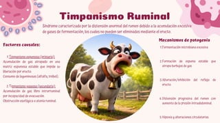 Comprehensive Overview of Rumen and Reticulum Pathologies in Domestic ...