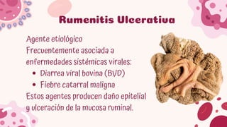 Comprehensive Overview of Rumen and Reticulum Pathologies in Domestic ...