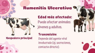Comprehensive Overview of Rumen and Reticulum Pathologies in Domestic ...