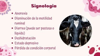 Comprehensive Overview of Rumen and Reticulum Pathologies in Domestic ...