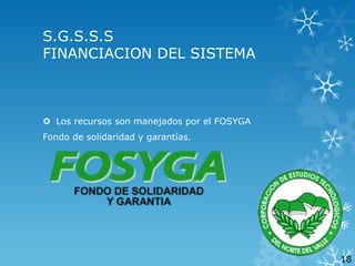 S.G.S.S.S
FINANCIACION DEL SISTEMA

 Los recursos son manejados por el FOSYGA
Fondo de solidaridad y garantías.

18

 