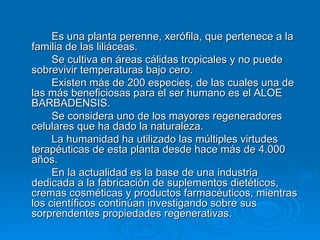 Es una planta perenne, xerófila, que pertenece a la familia de las liliáceas.  Se cultiva en áreas cálidas tropicales y no puede sobrevivir temperaturas bajo cero. Existen más de 200 especies, de las cuales una de las más beneficiosas para el ser humano es el ALOE BARBADENSIS.  Se considera uno de los mayores regeneradores celulares que ha dado la naturaleza.  La humanidad ha utilizado las múltiples virtudes terapéuticas de esta planta desde hace más de 4.000 años.  En la actualidad es la base de una industria dedicada a la fabricación de suplementos dietéticos, cremas cosméticas y productos farmacéuticos, mientras los científicos continúan investigando sobre sus sorprendentes propiedades regenerativas.  